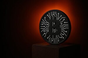 bitcoin's utility
